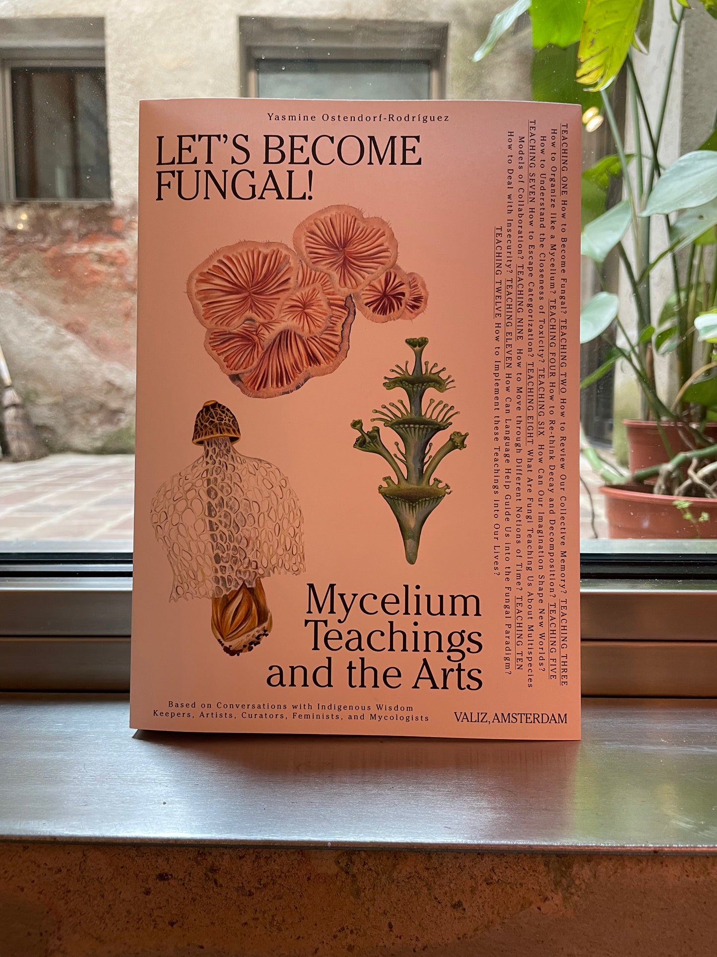 Yasmine Ostendorf-Rodríguez - Let’s Become Fungal! Mycelium Teachings and the Arts