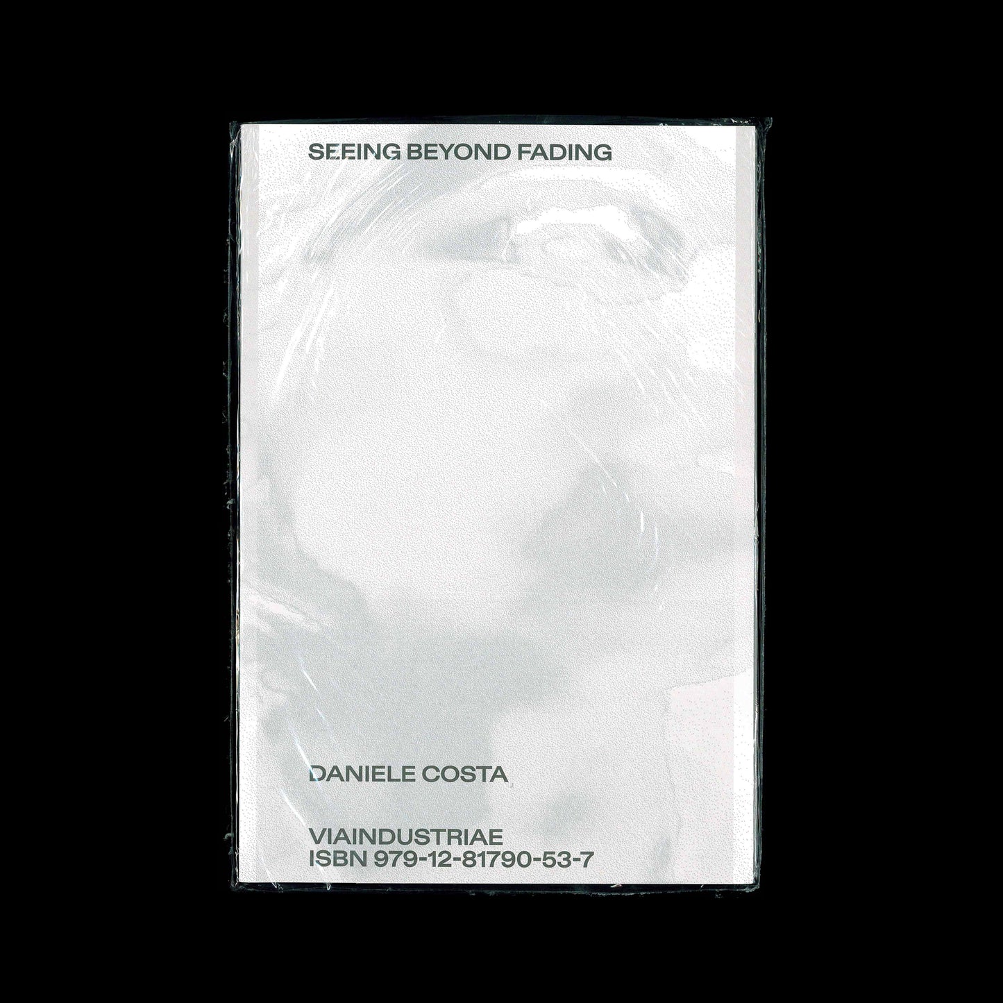 Daniele Costa - Seeing Beyond Fading