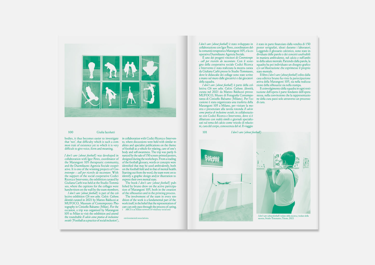 I don’t care (about football) — Special Edition (Marangoni 105 Poster)