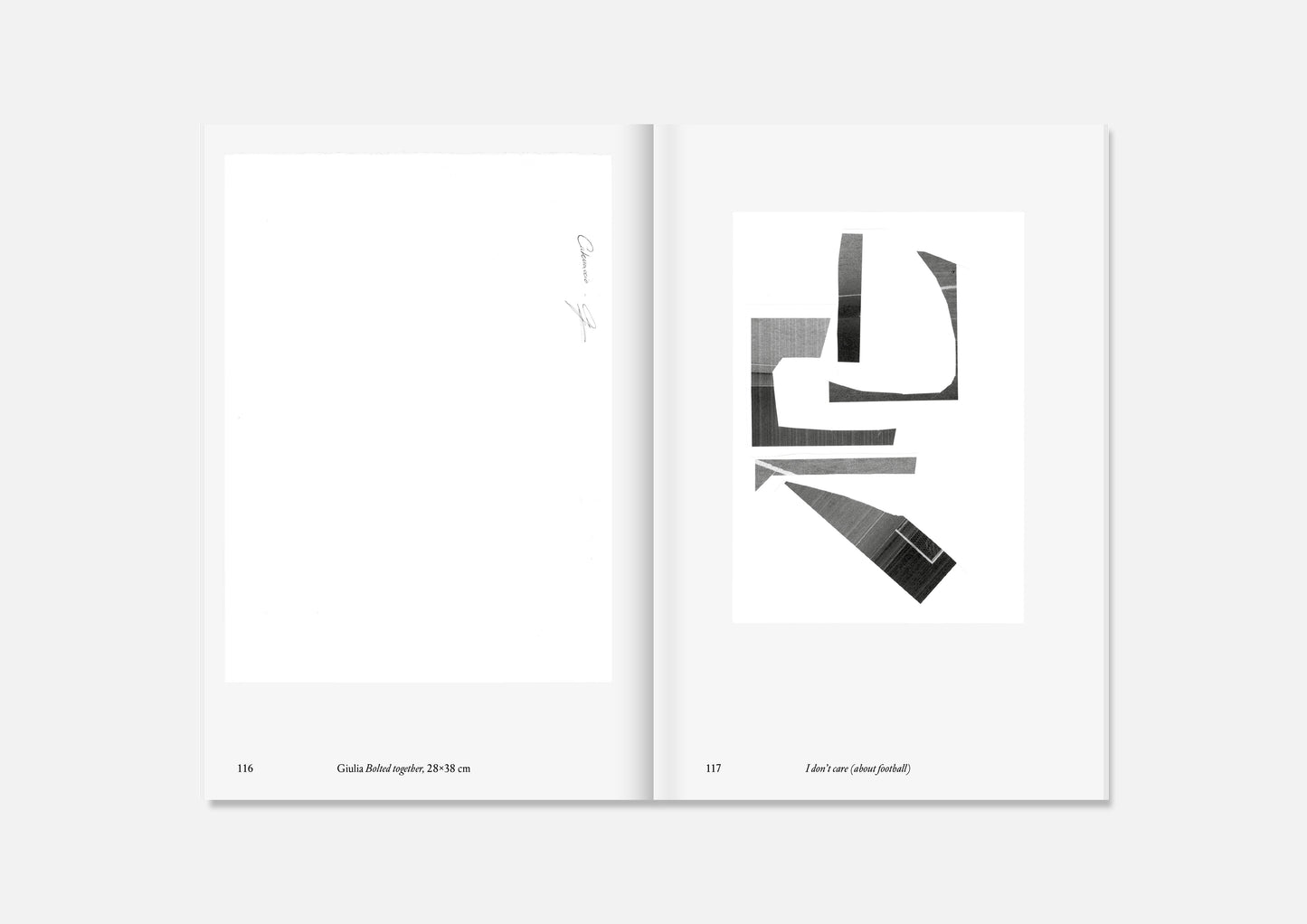 I don’t care (about football) — Special Edition (Marangoni 105 Poster)