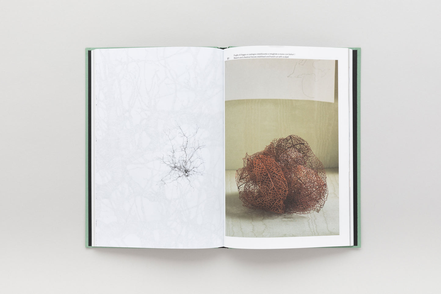 Elisabetta Di Maggio — Natura quasi trasparente
