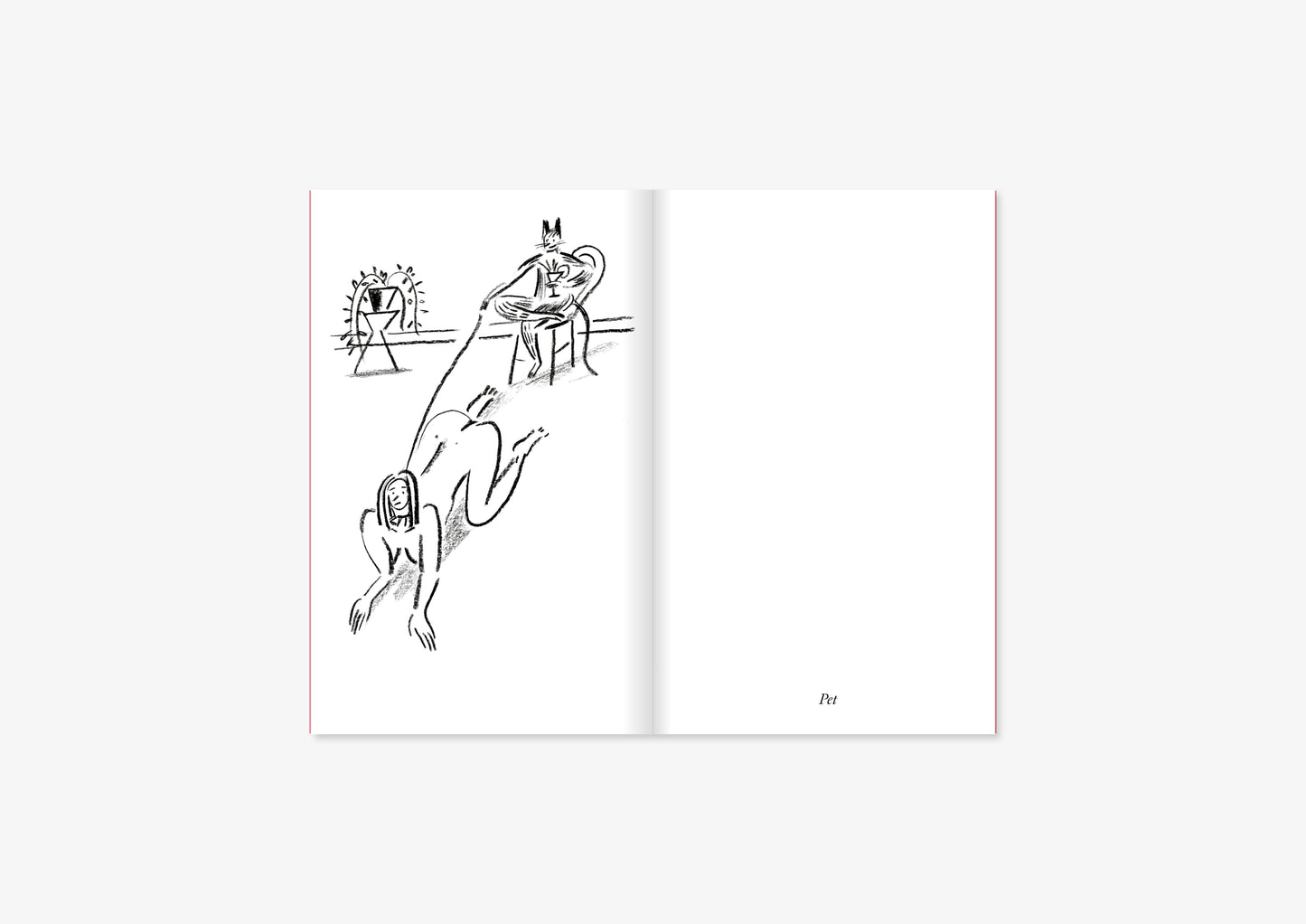 Indoors. Diary of a Pandemic