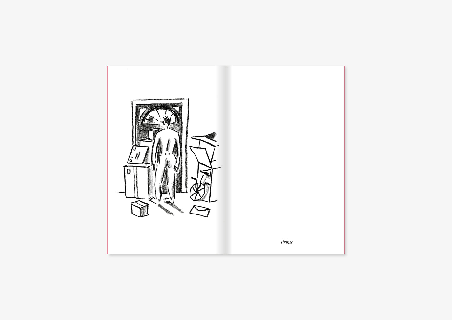 Indoors. Diary of a Pandemic