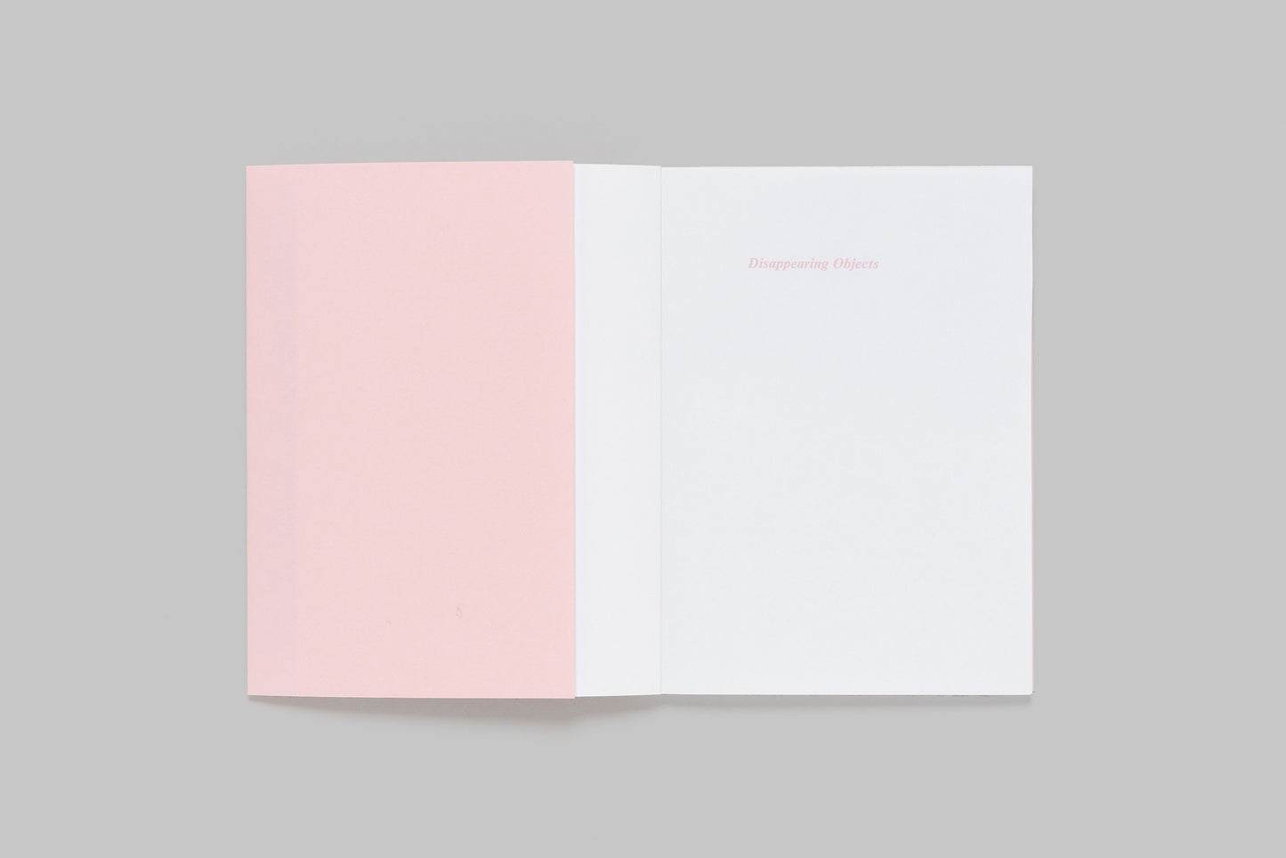 Disappearing Objects — Louis De Belle