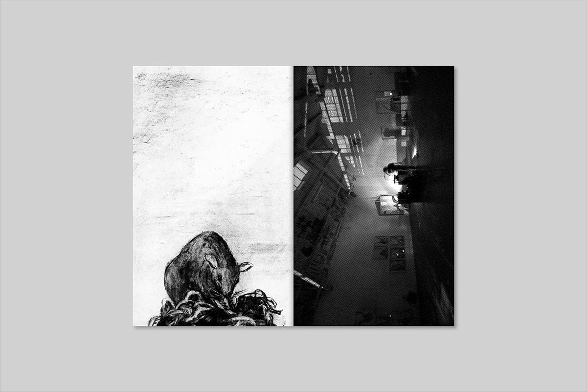 Naturamorta — Lorenzo D'Anteo