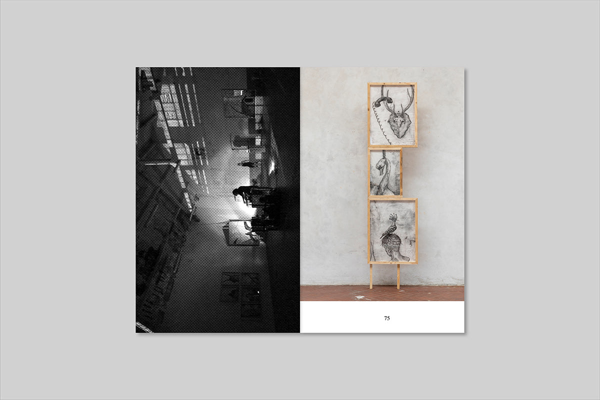 Naturamorta — Lorenzo D'Anteo