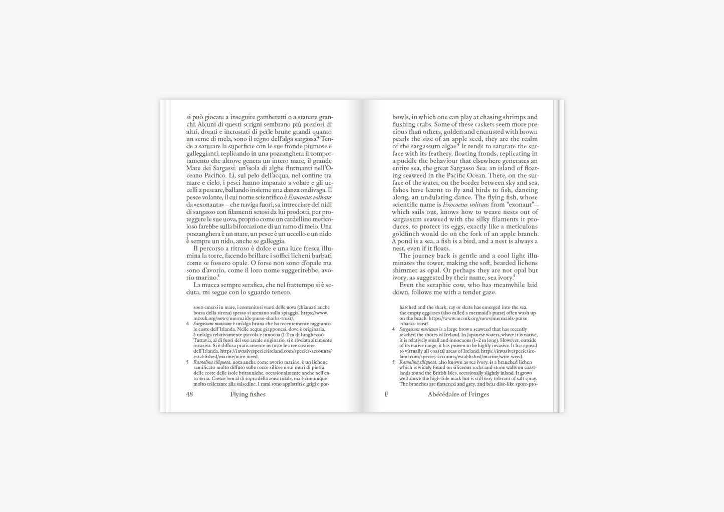 Abécédaire of Fringes