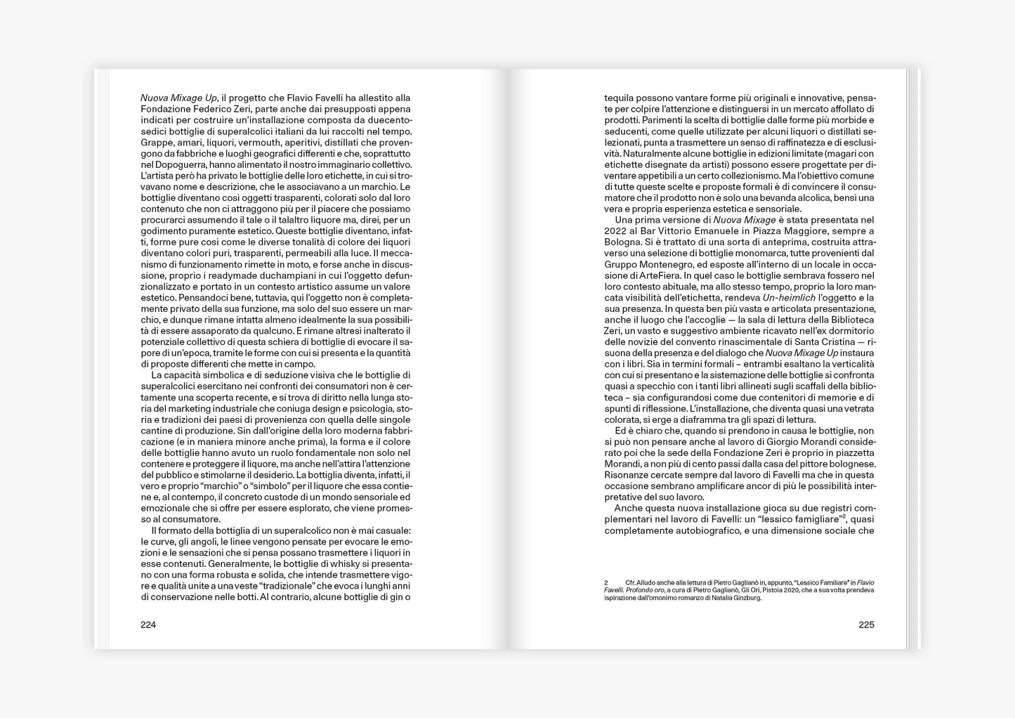 Nuova Mixage — Flavio Favelli