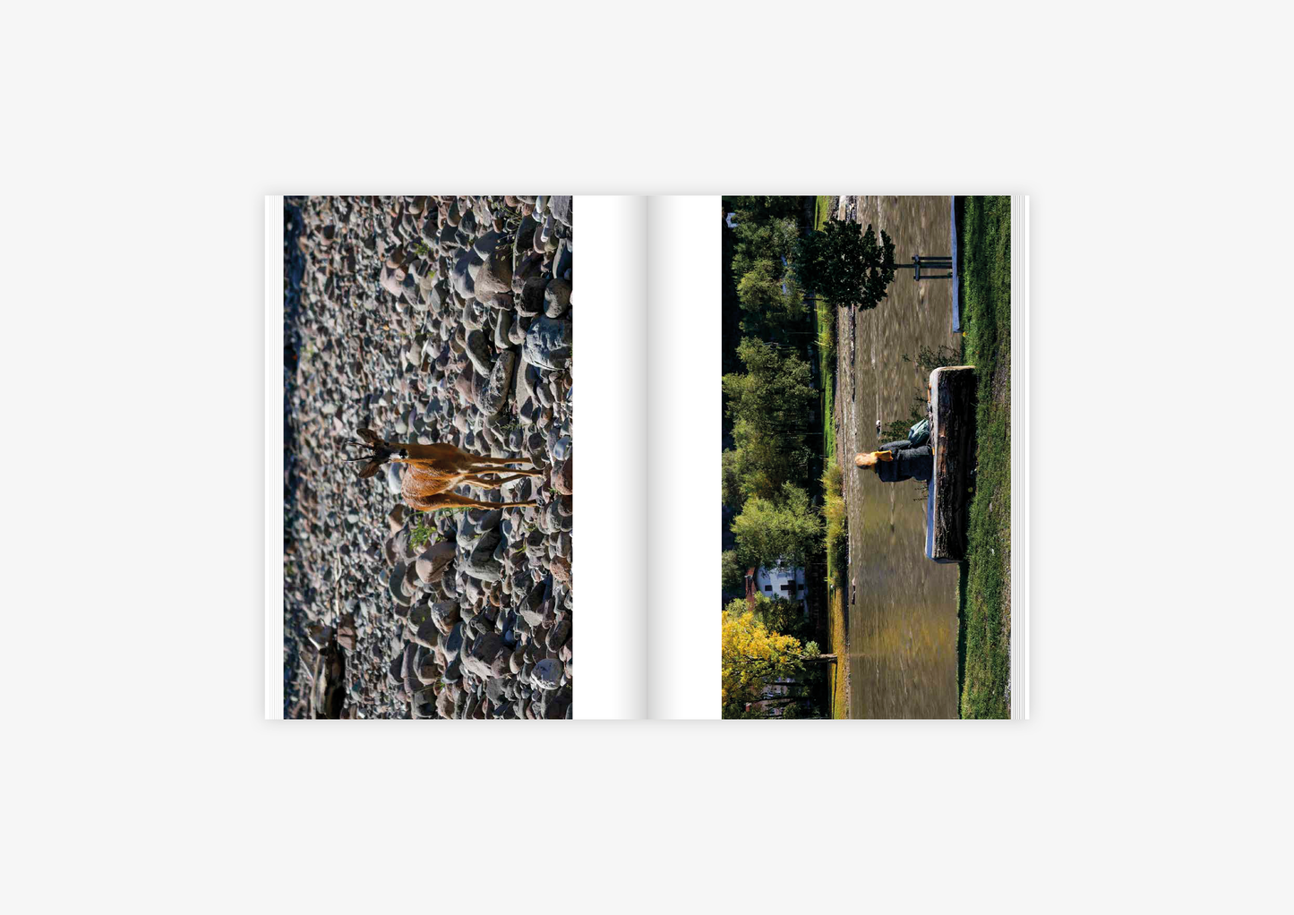 Nel vedere lungo il fiume / Vom Sehen flusswärts / In Seeing Along the River