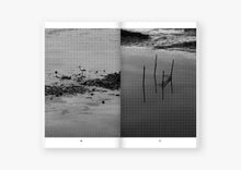 Load image into Gallery viewer, Amalgama