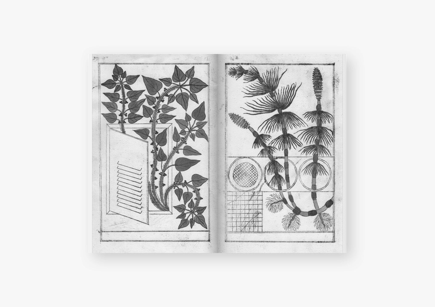 Era un cavallo elettrico. Breviario post-padano — (Collector's Edition)