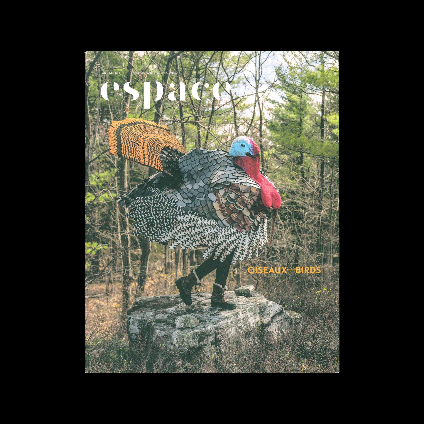 Espace art actuel #137 – Birds