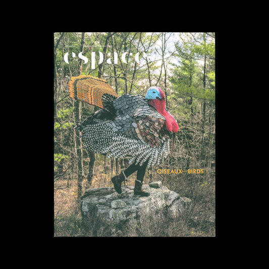 Espace art actuel #137 – Birds