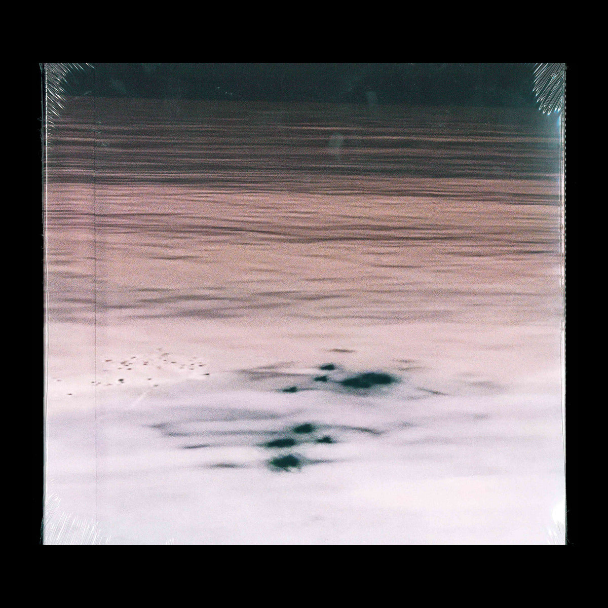 MILLESUONI - Lisa Andreani (curated by)