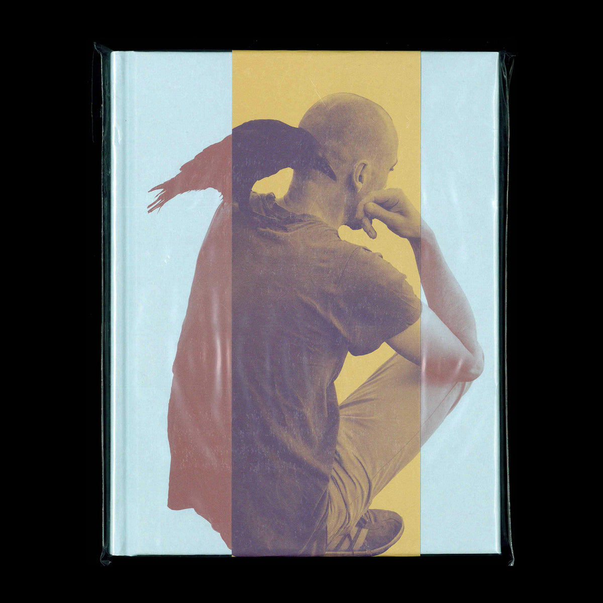 Francesca Todde - A Sensitive Education