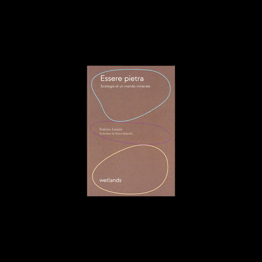 Federico Luisetti, Marco Belpoliti - Essere pietra
