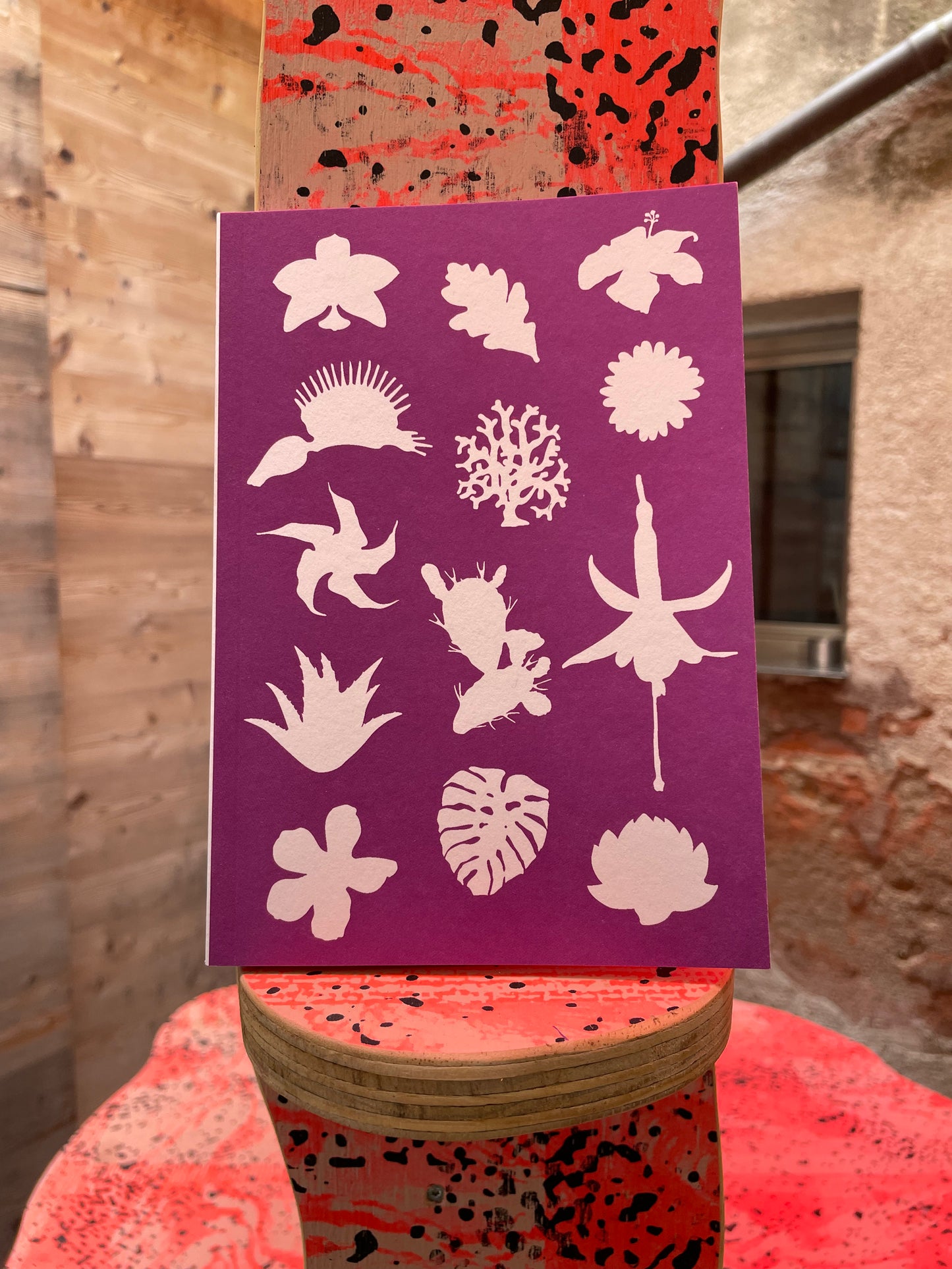 Making Kin: Plants