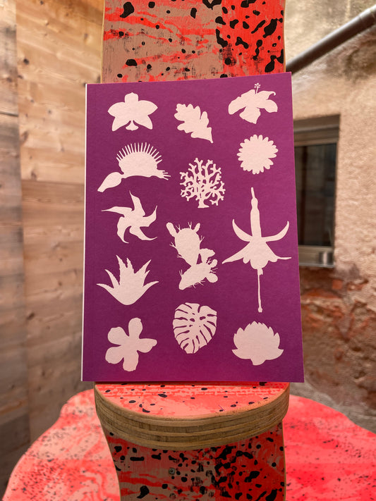 Making Kin: Plants