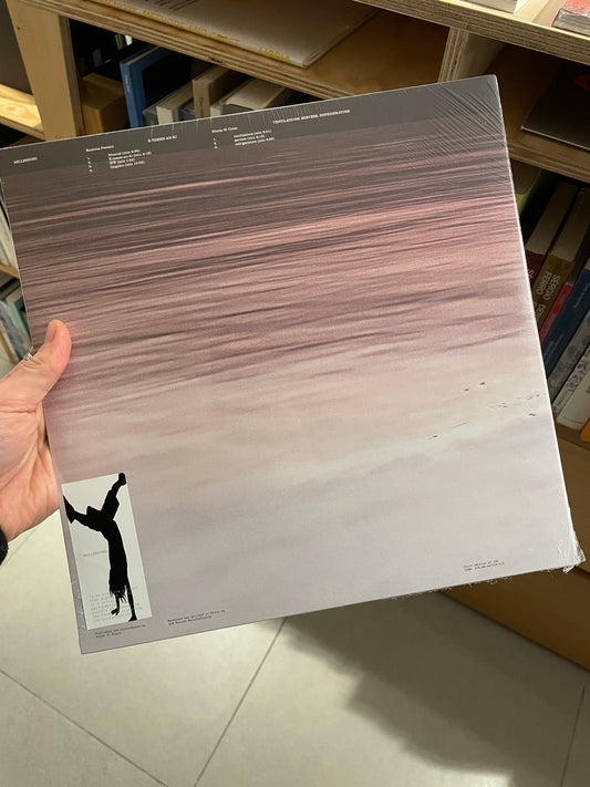 MILLESUONI - Lisa Andreani (curated by)