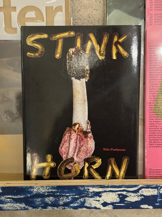 Stinkhorn – How Nature's Most Foul-Smelling Mushroom Can Change the Way We Listen