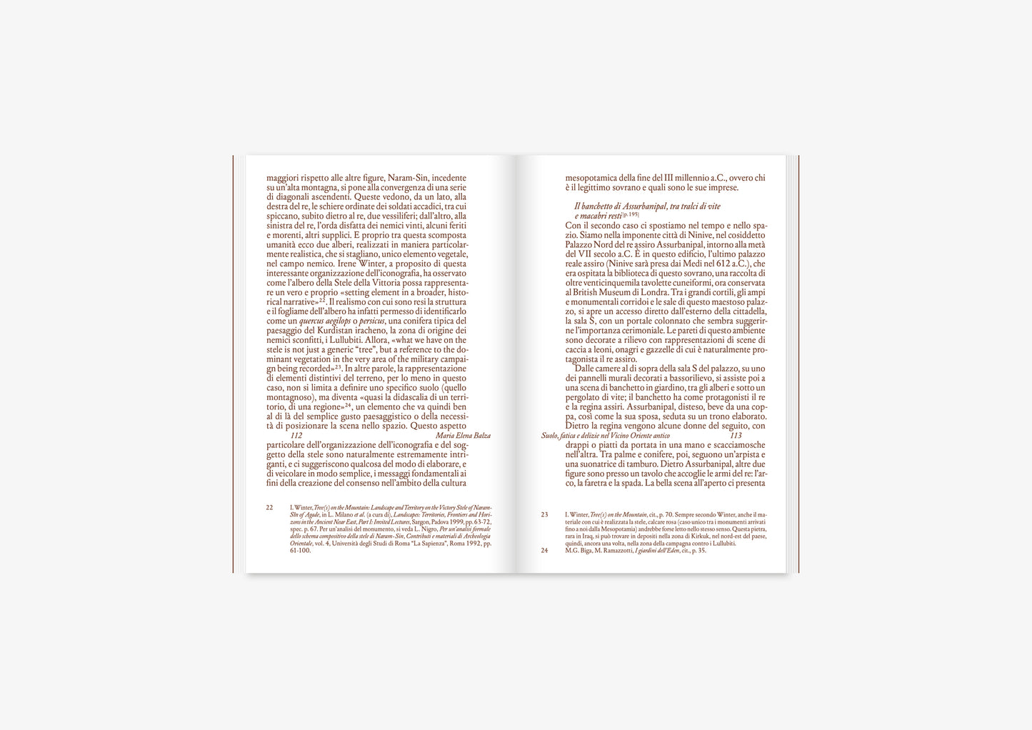 Soils Matter. Intersezioni tra arte e scienza