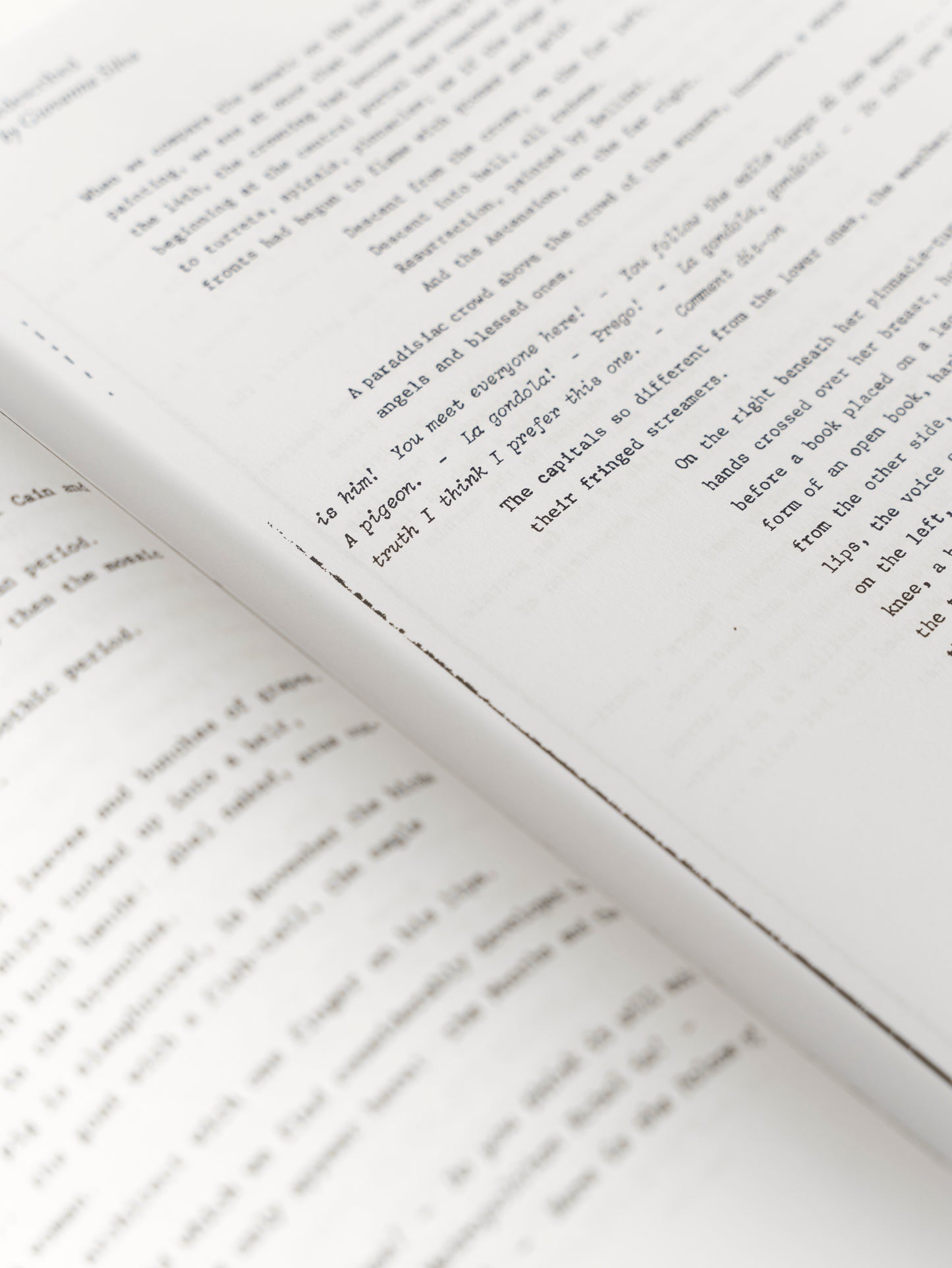 Description of San Marco by Michel Butor Redescribed by Giovanna Silva